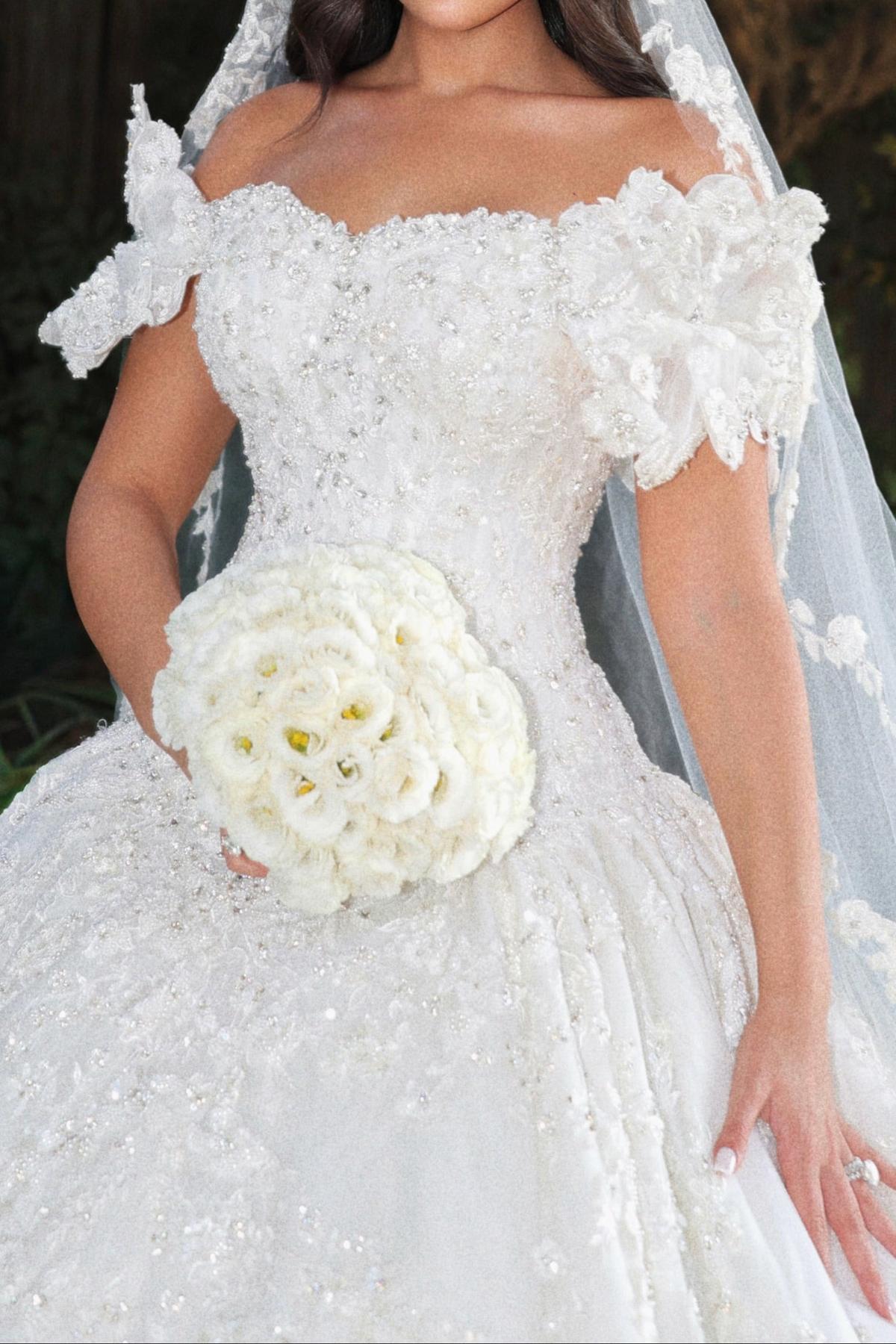 Beaded Lace Ball Gown Wedding Dress with Veil
