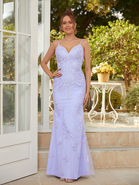 Sleeveless tulle applique sheath floor-length dress