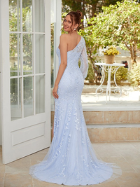 One-shoulder sheath/column prom dress in tulle featuring applique and long sleeves
