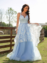 Sleeveless V-neck lace and tulle A-line floor-length prom dress