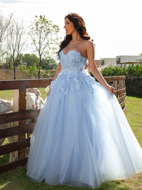 Sleeveless applique tulle ball gown floor-length prom dress